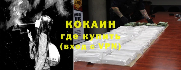 прущие грибы Алзамай
