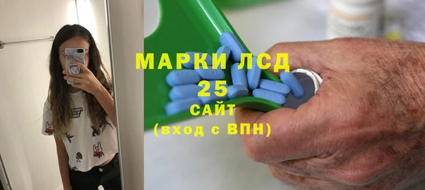 прущие грибы Алзамай