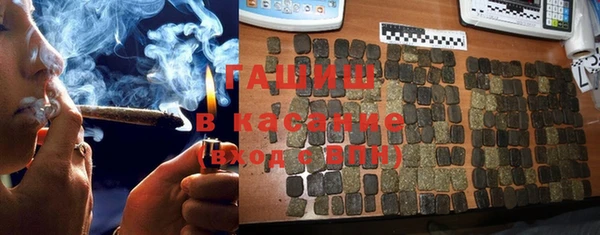 прущие грибы Алзамай