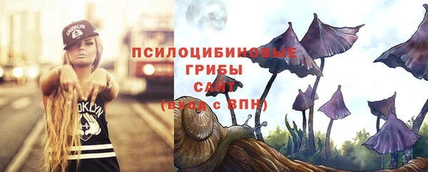 гидропоника Россошь