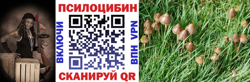 Псилоцибиновые грибы Cubensis  сайты даркнета клад  Конаково  MEGA  